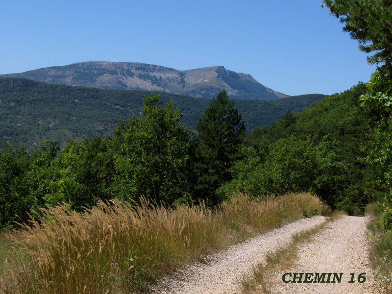 chemin-16